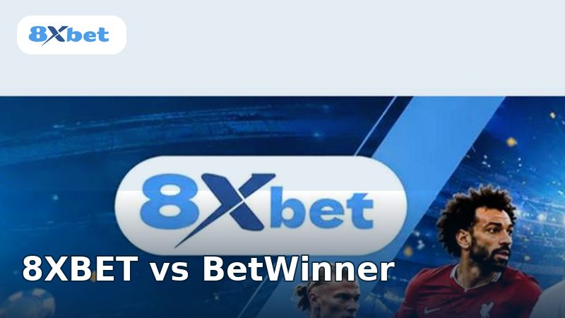 8XBET vs BetWinner