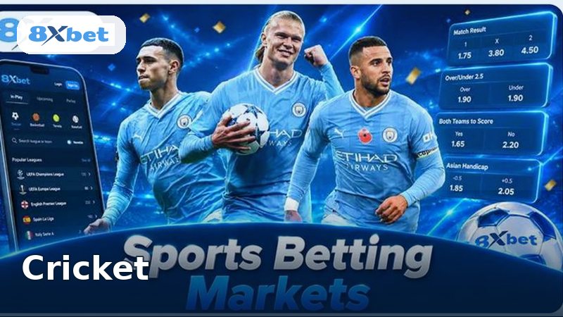 8XBET Cricket Betting Guide