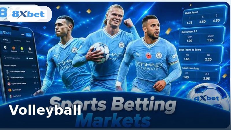 8XBET Volleyball Betting Guide
